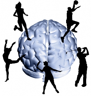 Brain And Exercise