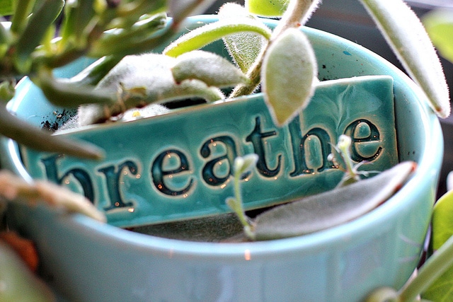10 Easy Ways to Stimulate Your Vagus Nerve to Reduce Stress