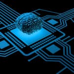 Processor and human brain