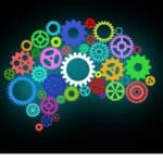 Five Ways To Grow New Brain Cells