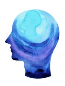 Everything Your Brain Needs to Know About Mindfulness