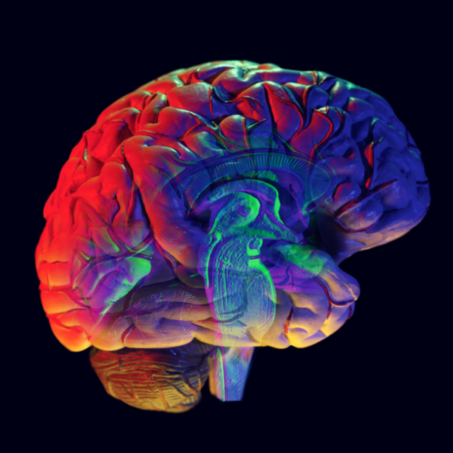 5 Ways Cannabidiol (CBD) Can Boost Your Brain - The Best Brain Possible