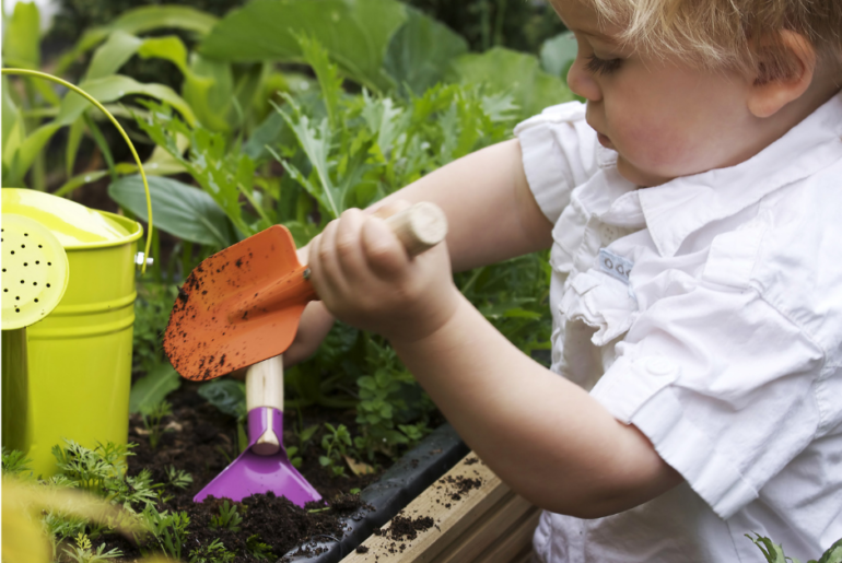 6 Ways Gardening Easily Improves Your Mental Health