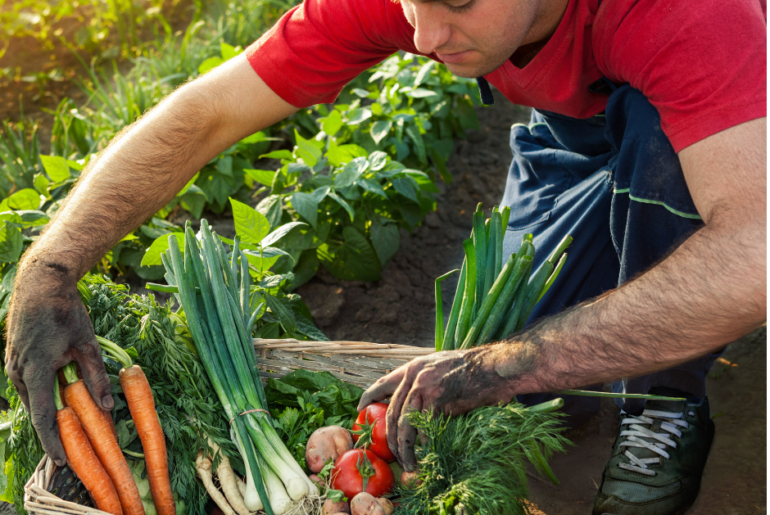 6 Ways Gardening Easily Improves Your Mental Health