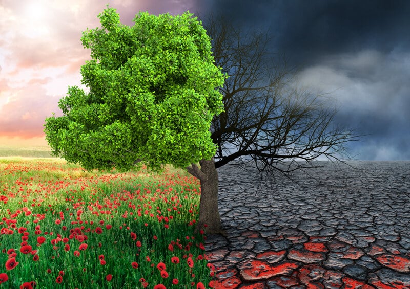 Here’s How Climate Change Is Affecting Your Mental Health