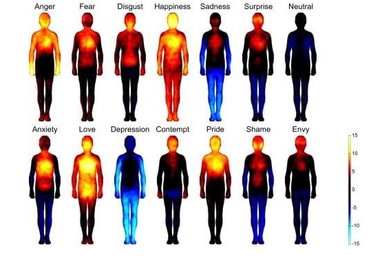 Emotional body chart showing emotions in the body as colors.