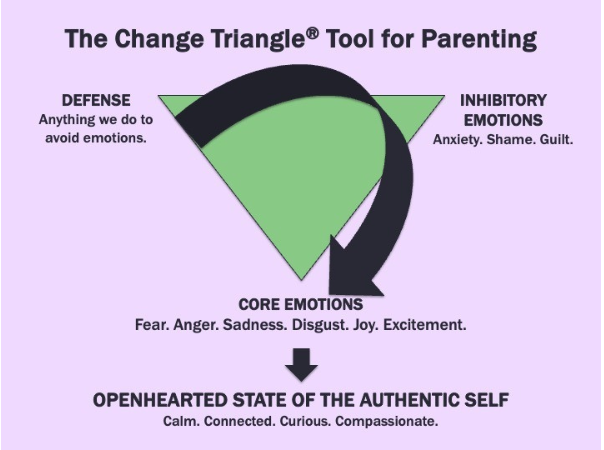 This Is The Important Way Understanding Emotions Improves Your Family ...